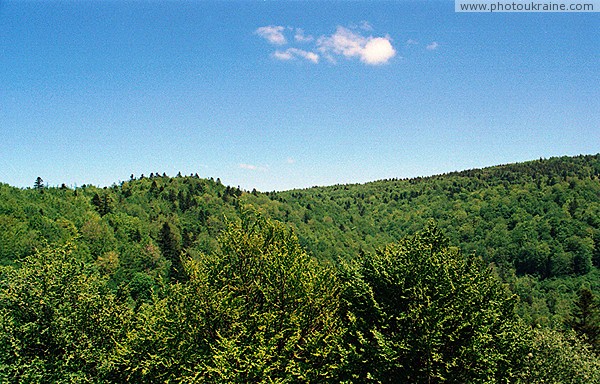 Uzhanskyi Reserve. Top Dividing Range Zakarpattia Region Ukraine photos