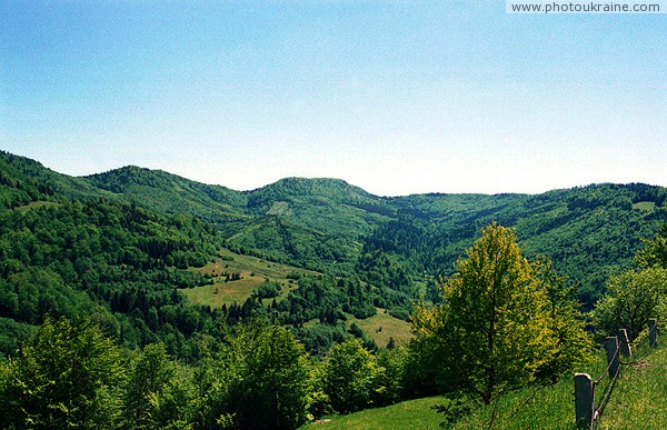 Uzhanskyi Reserve. Scenic upper river Uzh Zakarpattia Region Ukraine photos