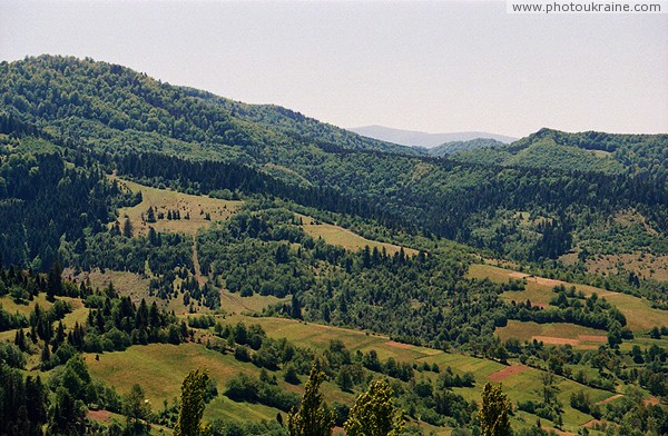 Ужанский НПП. Гора Стожок (993 м) Закарпатская область Фото Украины