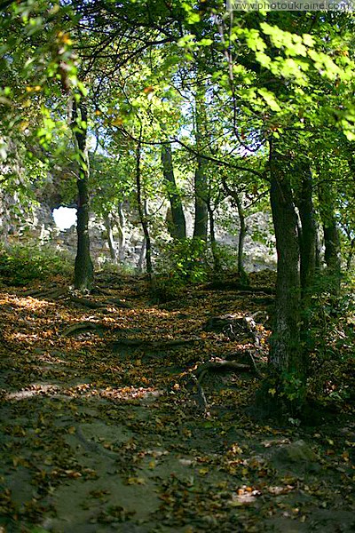 Hust. Adjacent to ruins of castle Hust Zakarpattia Region Ukraine photos