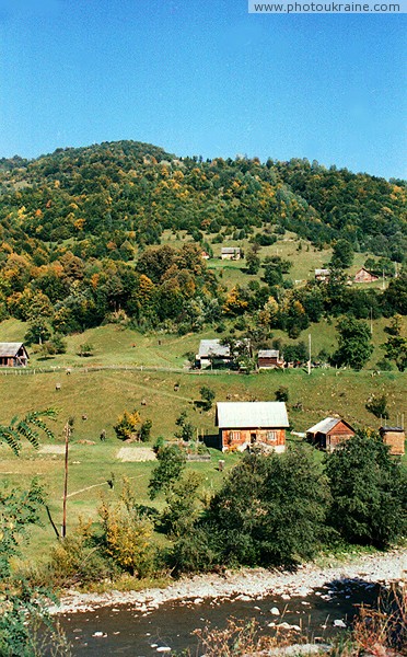 Kvasy. Tisa in upper reaches Zakarpattia Region Ukraine photos