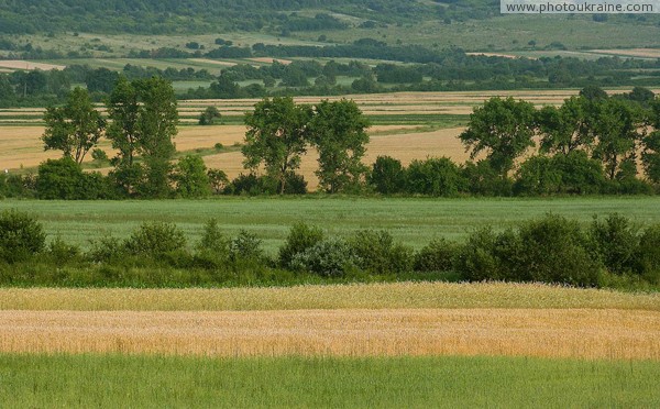 Agricultural multicolored Zakarpattia Region Ukraine photos