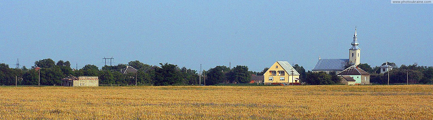 Typical rural landscape Transcarpathian Lowland Zakarpattia Region Ukraine photos