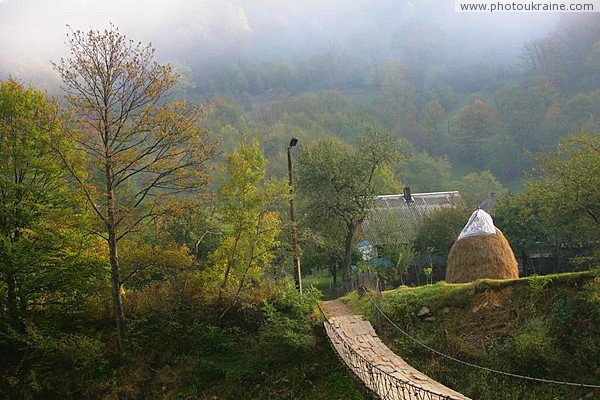 Country Road of Life Zakarpattia Region Ukraine photos