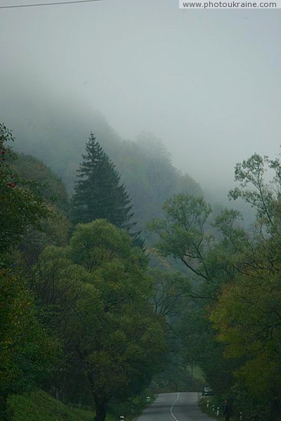 Mist rises from road Tiachiv  Rakhiv Zakarpattia Region Ukraine photos