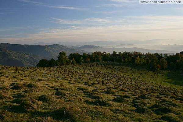 Carpathian top Zakarpattia Region Ukraine photos