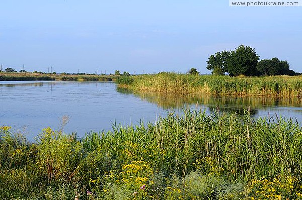 Гуляйполе. Речка Гайчур Запорожская область Фото Украины