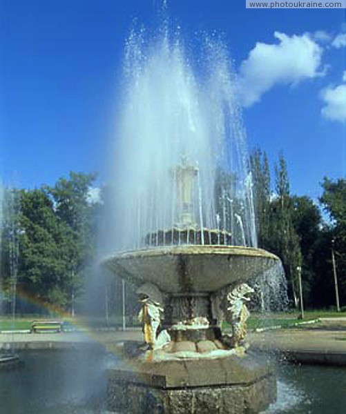 Zaporizhzhia. In park Oak Forest Zaporizhzhia Region Ukraine photos