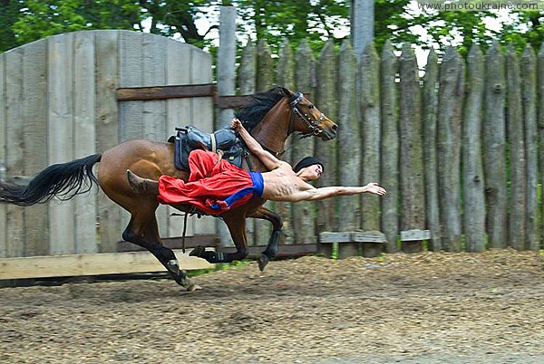 Zaporizhzhia. Horse theatre  ahead of runner Zaporizhzhia Region Ukraine photos