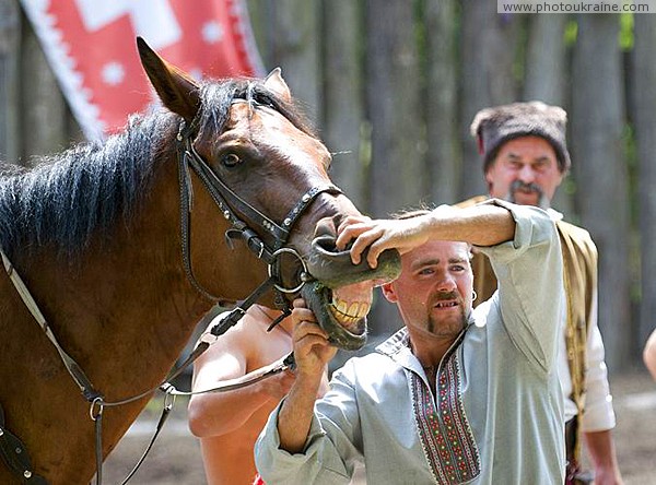 Zaporizhzhia. Horse theatre  envy of dentists Zaporizhzhia Region Ukraine photos