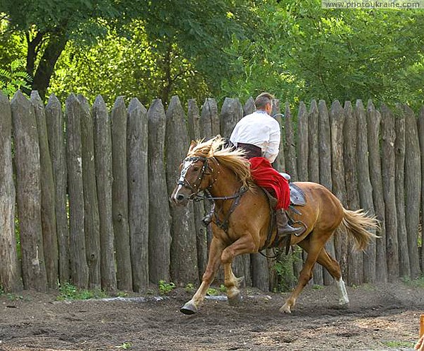 Zaporizhzhia. Horse theatre  backwards Zaporizhzhia Region Ukraine photos