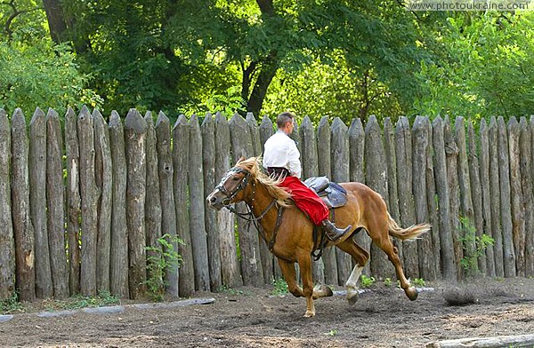 Zaporizhzhia. Horse theatre  backwards and faster Zaporizhzhia Region Ukraine photos