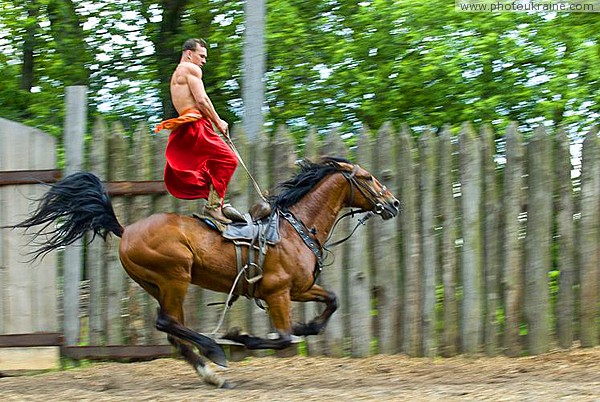 Zaporizhzhia. Horse theatre – tension forces Zaporizhzhia Region Ukraine photos