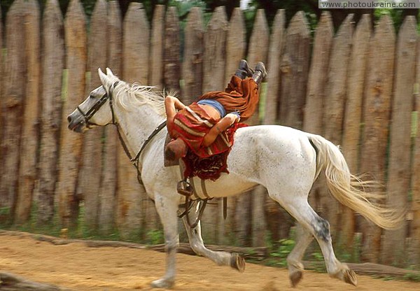 Zaporizhzhia. Horse theatre  and belly, and abdomen Zaporizhzhia Region Ukraine photos