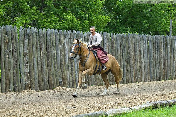 Zaporizhzhia. Horse theatre  prancing artist Zaporizhzhia Region Ukraine photos