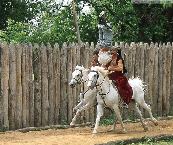 Zaporizhzhia. Horse theatre  carefully keeping his head down Zaporizhzhia Region Ukraine photos