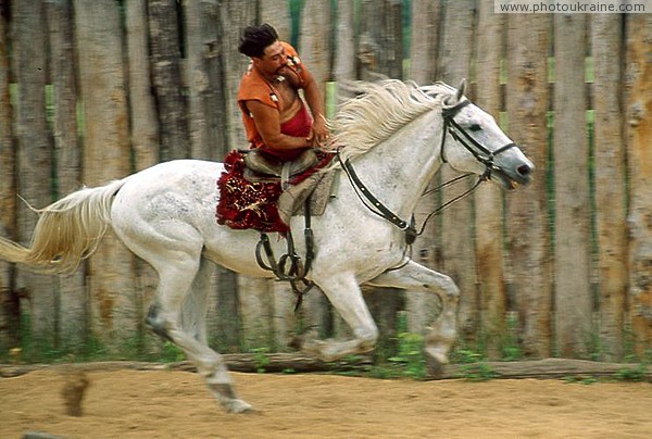 Zaporizhzhia. Horse theatre  as in puppet show Zaporizhzhia Region Ukraine photos