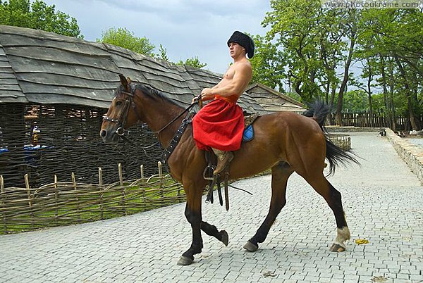 Запорожье. Конный театр – с чувством выполненного долга Запорожская область Фото Украины