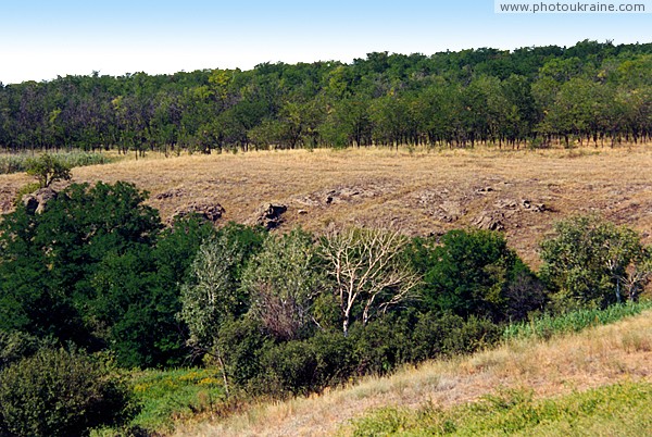 Kalaytanivka. Floodplain and terrace woodland Zaporizhzhia Region Ukraine photos