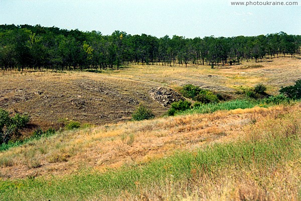 Kalaytanivka. Upper reaches of ravine on side of river valley Zaporizhzhia Region Ukraine photos