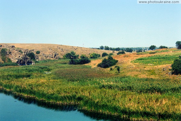Радивоновка. Поросший камышами берег речки Берда Запорожская область Фото Украины
