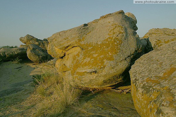 Терпенье. Покрытая лишайником песчаниковая глыба Запорожская область Фото Украины