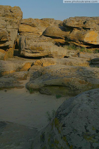 Terpinnia. Sandstones save Sands from erosion Zaporizhzhia Region Ukraine photos