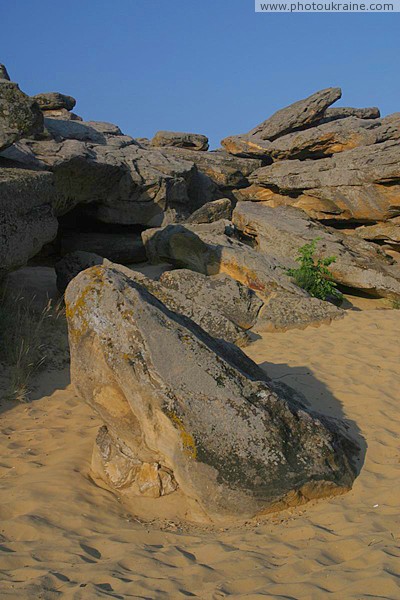 Terpinnia. Clumps of hiding from rain sandy hill Zaporizhzhia Region Ukraine photos