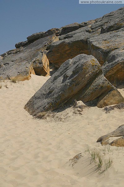 Terpinnia. Burrowing in sea sand Zaporizhzhia Region Ukraine photos