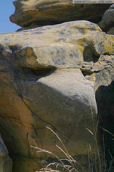 Terpinnia. Turned weathering sandstone boulder Zaporizhzhia Region Ukraine photos