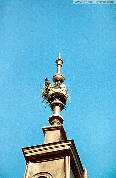 Bolechiv. Bird's nest on the spire of City Hall Ivano-Frankivsk Region Ukraine photos