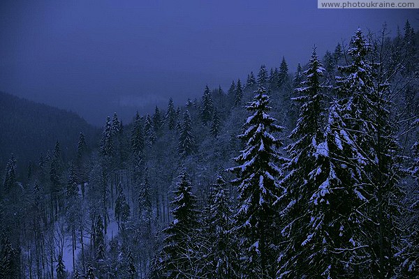 Bukovel. Twilight is coming Ivano-Frankivsk Region Ukraine photos