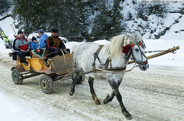 Bukovel. Resort gorgeous taxi on the wheel Ivano-Frankivsk Region Ukraine photos