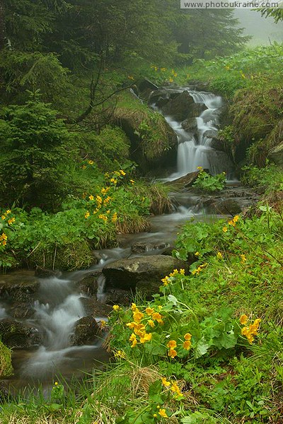 Vorokhta. Village stream Ivano-Frankivsk Region Ukraine photos