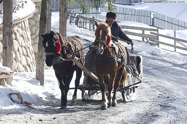 Vorokhta. Village transport on runners Ivano-Frankivsk Region Ukraine photos