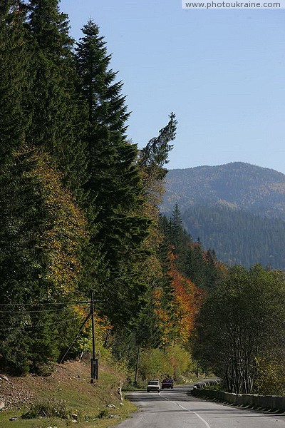 Vorokhta. Forest framing of the Carpathian highway Ivano-Frankivsk Region Ukraine photos