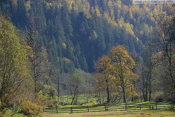 Vorokhta. Early Carpathian autumn Ivano-Frankivsk Region Ukraine photos