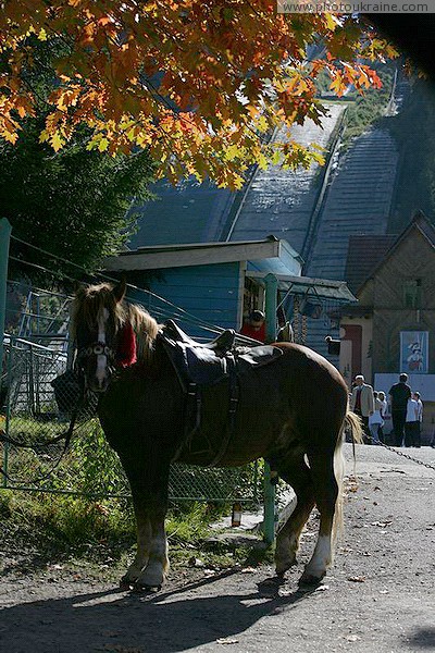 Vorokhta. Saddled horse at the foot of ski jumps Ivano-Frankivsk Region Ukraine photos