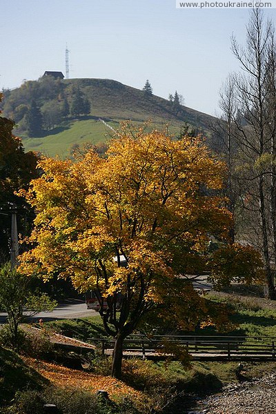 Vorokhta. Falling autumn maple on the banks of the Prut River Ivano-Frankivsk Region Ukraine photos