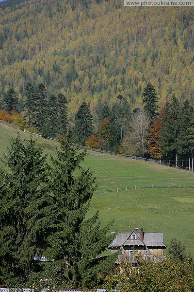 Vorokhta. Pasture pasture on the mountainside Ivano-Frankivsk Region Ukraine photos