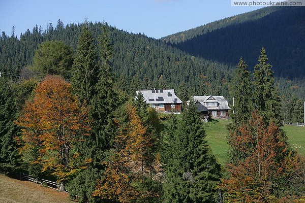 Vorokhta. Carpathian spruce paradise Ivano-Frankivsk Region Ukraine photos