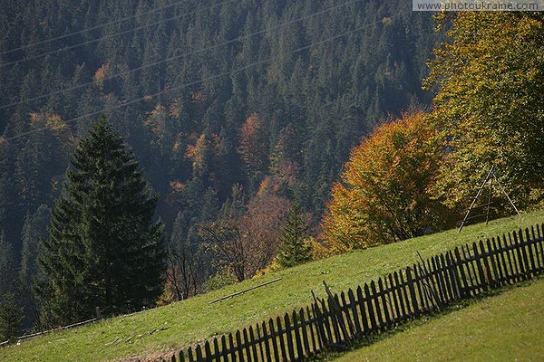 Vorokhta. Real slope Ivano-Frankivsk Region Ukraine photos