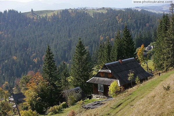 Vorokhta. Caught on the slope of the estate Ivano-Frankivsk Region Ukraine photos