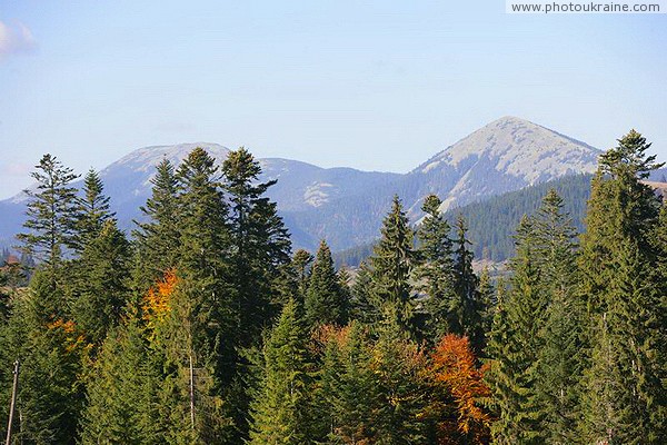 Vorokhta. Hoverla - the highest point of the Montenegrin ridge Ivano-Frankivsk Region Ukraine photos