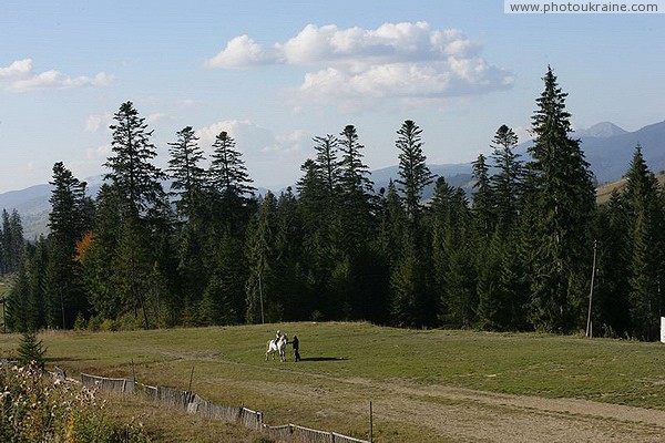 Vorokhta. Training at the village hippodrome Ivano-Frankivsk Region Ukraine photos