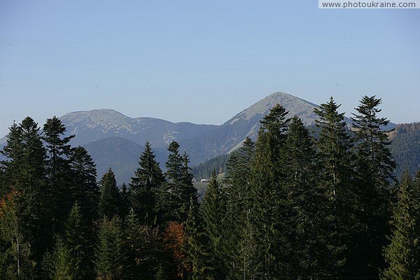 Vorokhta. Mountains above the trees Ivano-Frankivsk Region Ukraine photos