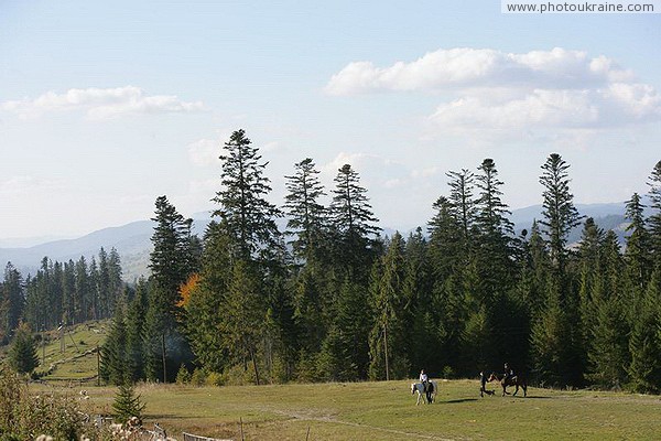 Vorokhta. Horse training Ivano-Frankivsk Region Ukraine photos