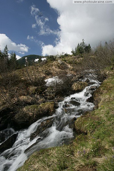 Carpathian NNP. So in the Carpathians begins the river Prut Ivano-Frankivsk Region Ukraine photos