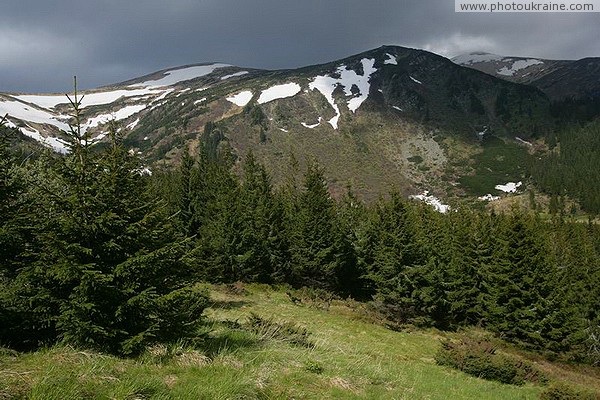 Carpathian NNP. Heavenly chiaroscuro Ivano-Frankivsk Region Ukraine photos