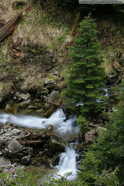 Carpathian NNP. Amazing neighborhood Ivano-Frankivsk Region Ukraine photos